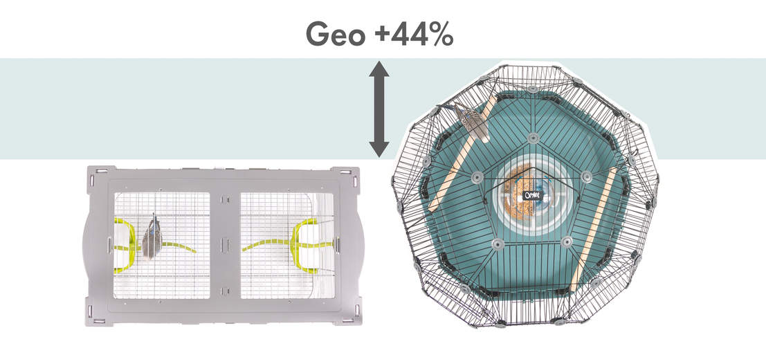 Geo | Det geodetiske fugleburet | Omlet