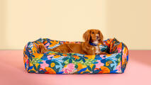 Hunden hviler i en fargerik mønstret bolsterhundeseng fra Omlet