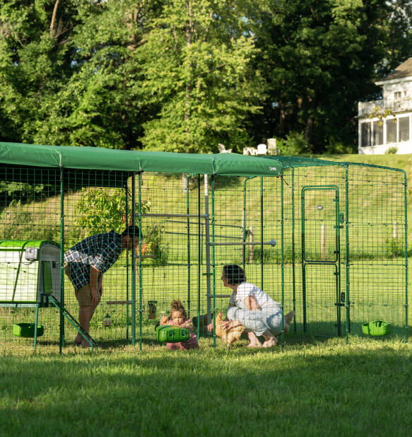 En familie som tilbringer tid med hønene sine i luftegården.