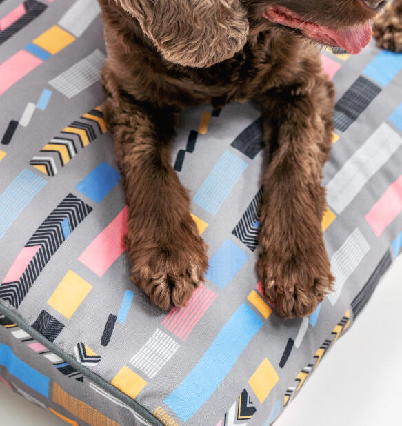 Hundepoter på sprett grå pute seng